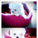 (주)가드림 이미지