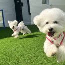 헬로우버디 판교밸리점 이미지