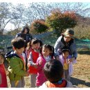 속리초교 병설유치원 이미지