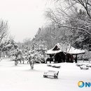 죽향민박 이미지