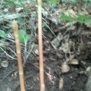 왕대포민박 이미지