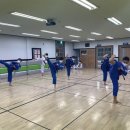 송화태권도 이미지