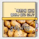 감자혁명