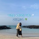 임신33주차 4박5일 제주도 태교여행 요약본 🌴 / 내돈내산 제주도 맛집,카페,숙소 총정리
