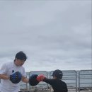 SD복싱 이미지