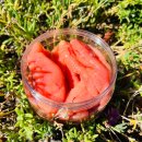 국산홍어/곱창김/감태김/명란젓/비빔낙지젓/갈치쌈젓 판매합니다^^ 이미지