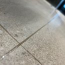 예손환경 이미지