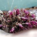 문산1리 이미지