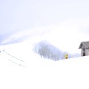 초기목장 이미지