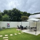 스테이 하냥 이미지