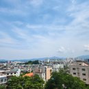 해원이네 동물병원 | [24년 6월] 친구들아! 빛나는 날을 허락해주세요~(Feat. LETTER - 유다빈밴드)