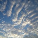 송도국제도시의 현재 모습은 ? 이미지