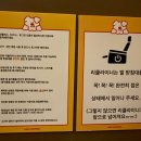 라이크어시네마 하남미사점