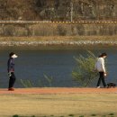 신안남강둔치 이미지