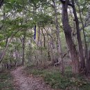 학동휴게소 이미지