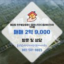 중흥프라디움단지내부동산공인중개사사무소 이미지