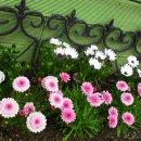 회기어린이집 이미지