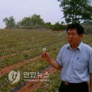 홀씨건강식품