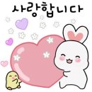 꽃도리집 이미지