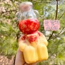 디저트39나주