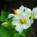 한빛세탁 이미지