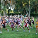 신영카센타 이미지