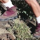 허브펜션 이미지