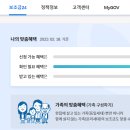 정부지원금