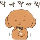 더엔비헤어 이미지