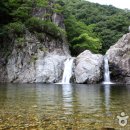 바다와솔숲 이미지