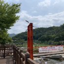 단양군시티투어 이미지