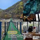 장령산자연휴양림 편의시설 | 옥천 장령산자연휴양림 아이와 가볼만한곳 숲속동굴 족욕 놀이터