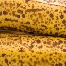 싱싱반점 이미지