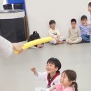 눈부시게 빛나는 태권도장 이미지
