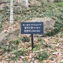 화담다인 이미지