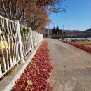 부귀초등학교 이미지