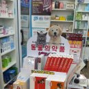 동아온누리약국 이미지