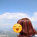 에스티137헤어 이미지