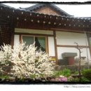 법수농원 이미지