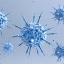 성모수퍼 이미지