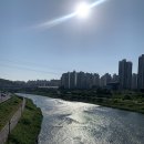 네일발라바 | 궁이내돈내산} 유이라(EUYIRA) 네일(수성네일) / 런칭하자마자 방문! 전컬러 구매 솔직후기