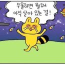 이블럭에커피 이미지