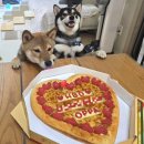 디자인팜스 | 피자팜스 레터링 피자, 생일 케이크 대신 준비한 피자 후기