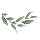 비올라의원 이미지