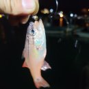 송정카클리닉 이미지