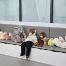 고일태권도 | 25.11.15~16 [ 고일태권도 1박2일캠프 ]