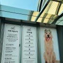 (주)젠틀펫 이미지