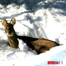 산북1리 이미지