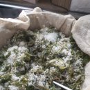 가오농장 이미지