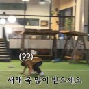 디어베이비 시흥점 | 2022.01月